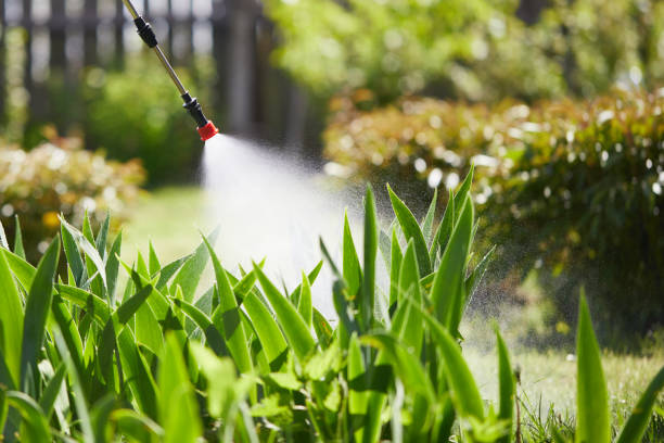 Tamper-Resistant Bait Stations for Rodents in Mira Monte