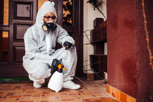 Attic and Crawl Space Rodent Treatment in Mira Monte